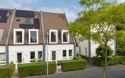 Agaatvlinde. 110