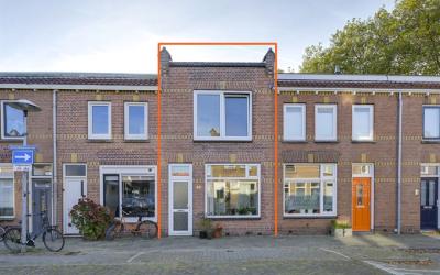 Korenbloems. 40