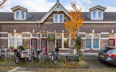 Goudsbloems. 16