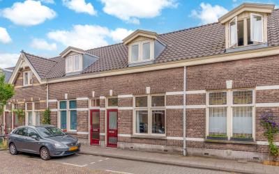 Goudsbloems. 20