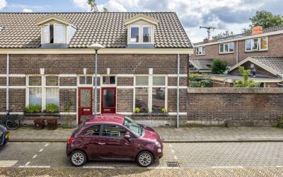 Goudsbloems. 24