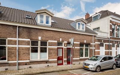 Goudsbloems. 3