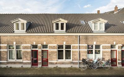 Goudsbloems. 5