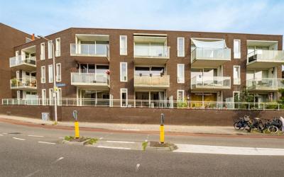 Loevenhouts. 341