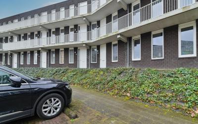 Loevenhouts. 343
