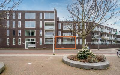 Loevenhouts. 345