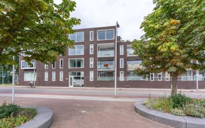 Loevenhouts. 381