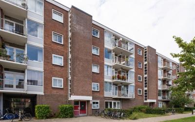 Zwanenvecht. 70
