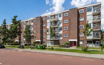 Zwanenvecht. 154