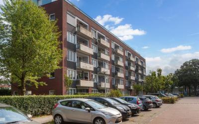 Daelwijckla. 186
