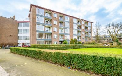 Vechtplants. 14