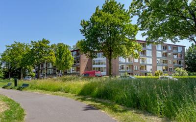 Vechtplants. 16