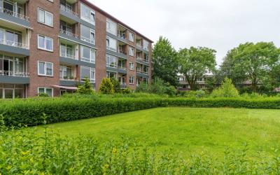Vechtplants. 20-1