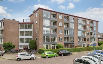 Vechtplants. 52-1