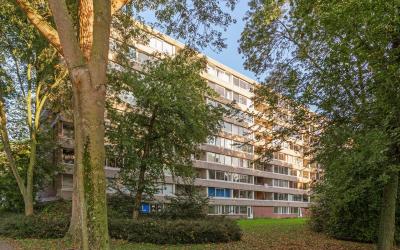 Tafelbergdr. 202