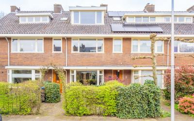Prof. Wentl. 46