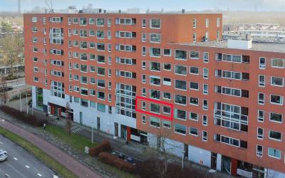 Van Esvelds. 203