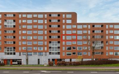 Van Esvelds. 215