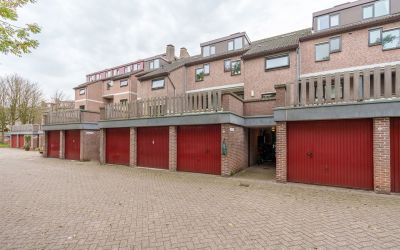 Albert van. 763
