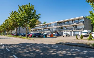 Boomstede 356