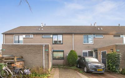 Boomstede 530