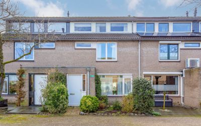 Boomstede 600