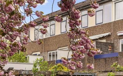 Bloemstede 657