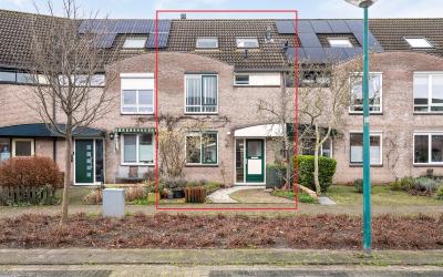 Damastbloem 46