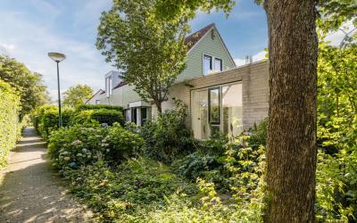 Damastbloem 37