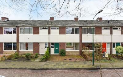 Willem Torc. 15