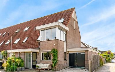Dotterbloem 1