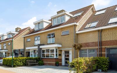 Pijlkruid 28
