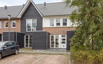 Wilgenroos 10