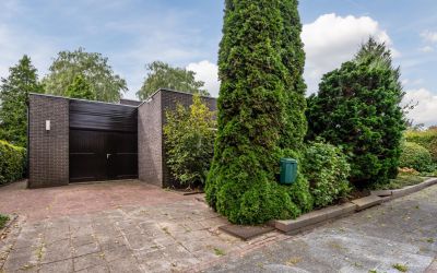 Pieter 11
