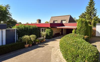 Pieter 17