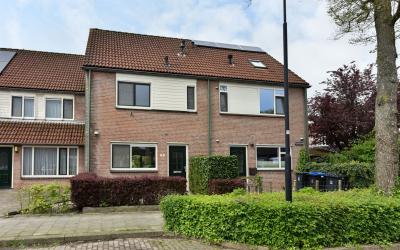 Roerdomp 65