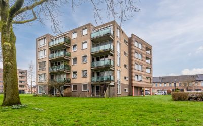 Weegbree 37