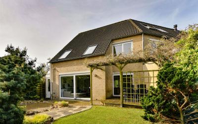 Houtzaagmol. 24