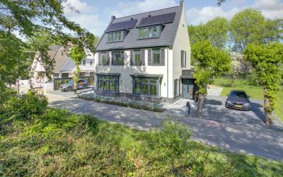 Groenlandse. 16