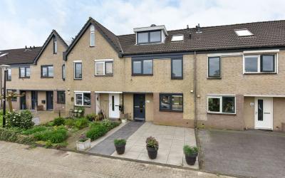 Groenland 41