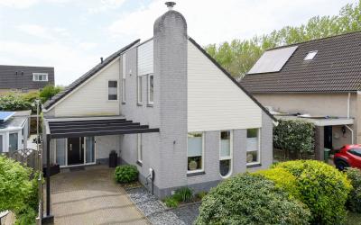 Blauwe Zegge 43