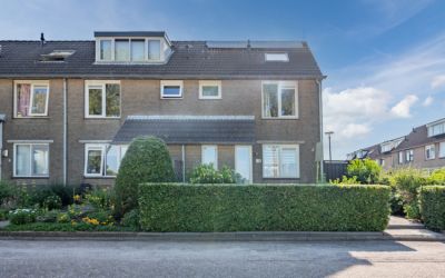 Blauwe Zegge 80