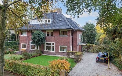 Pauw van Wi. 33