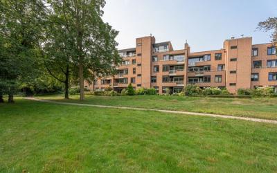 Blikkenburg. 17