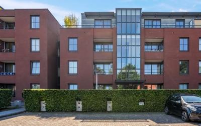 Tuin van Sc. 41