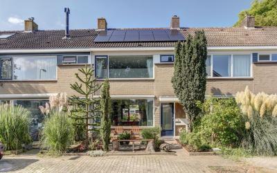 Couwenhoven 5306
