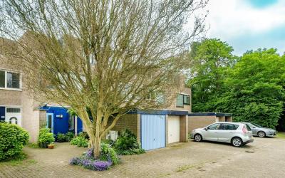Couwenhoven 6124
