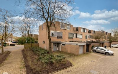 Couwenhoven 6201