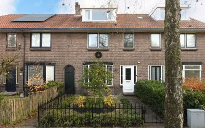 Constantijn. 46