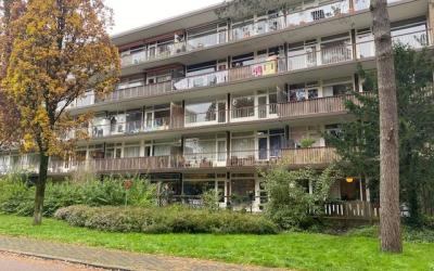 Graaf Adolflaan 37-2
